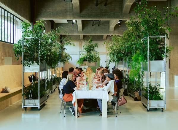 en lange eettafel met mensen die samen lunchen in een lichte ruimte met betonnen plafonds en veel gr