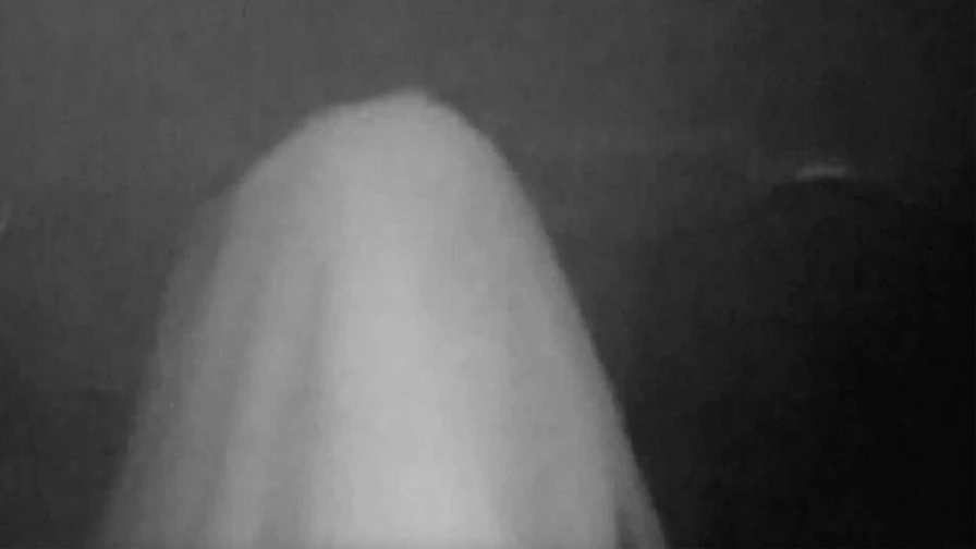 A grainy black-and-white image showing a person draped in a white sheet, resembling a ghost.